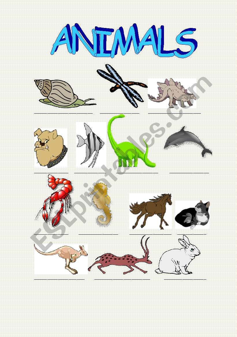 ANIMALS part2 worksheet