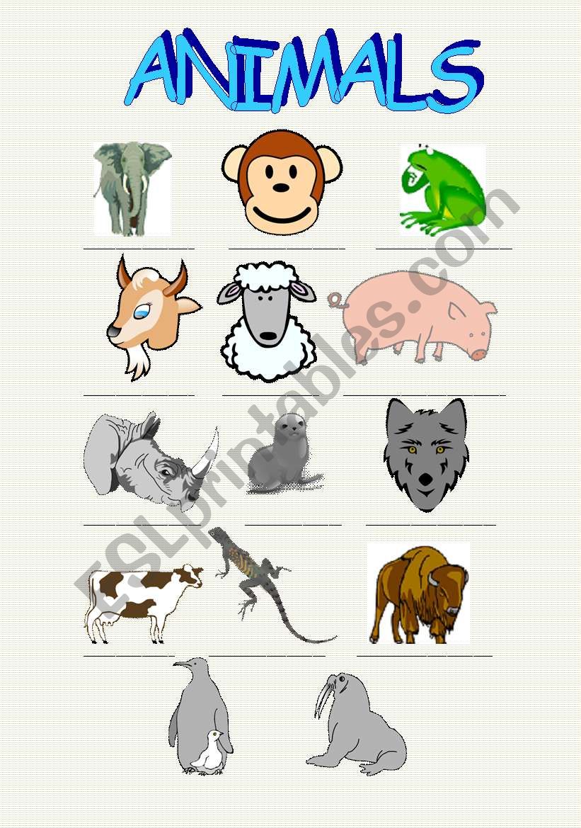 ANIMALS part3 worksheet