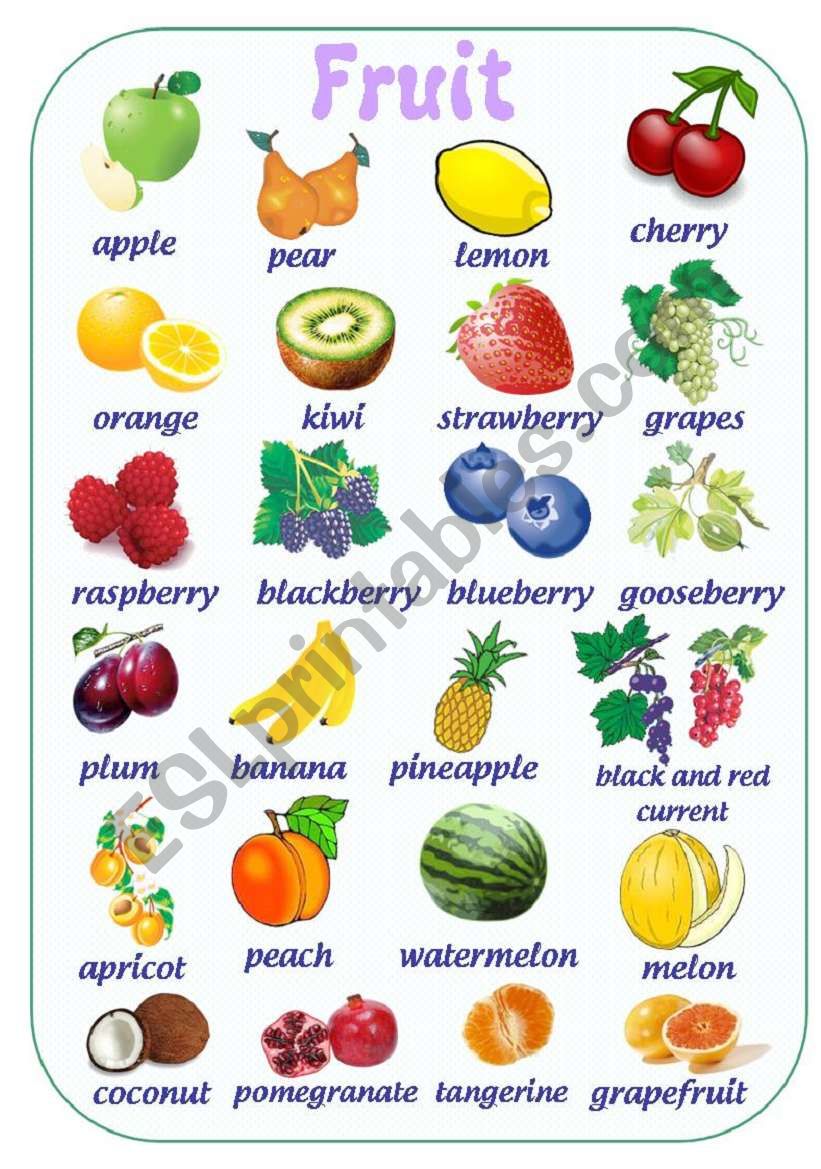 FRUIT PICTURE DICTIONARY worksheet
