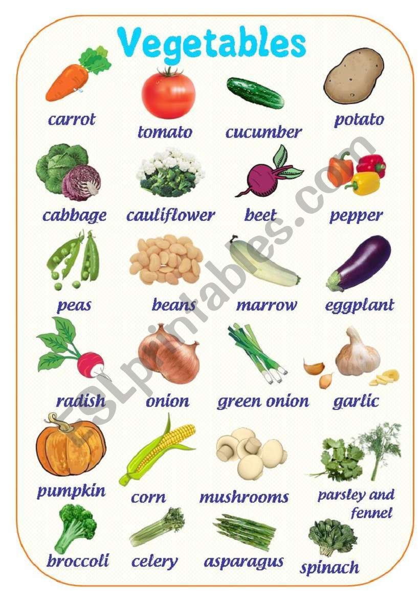 VEGETABLES PICTURE DICTIONARY worksheet