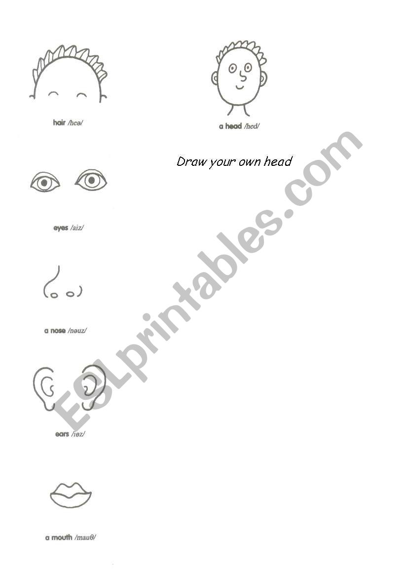 Draw your own head worksheet