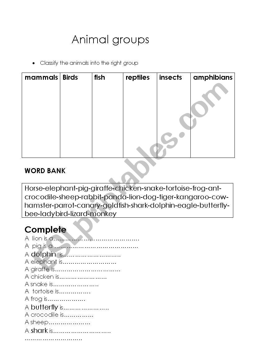 animal groups worksheet