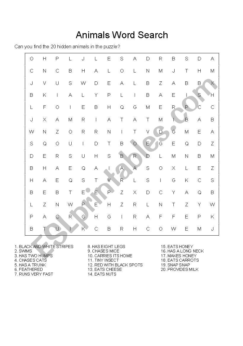 search animals worksheet