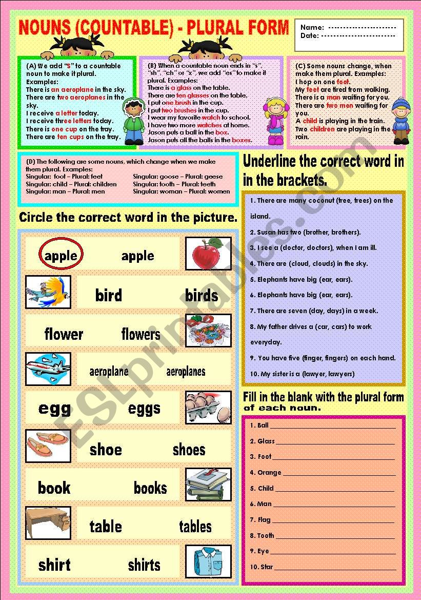 Nouns (countable) - Plural Form