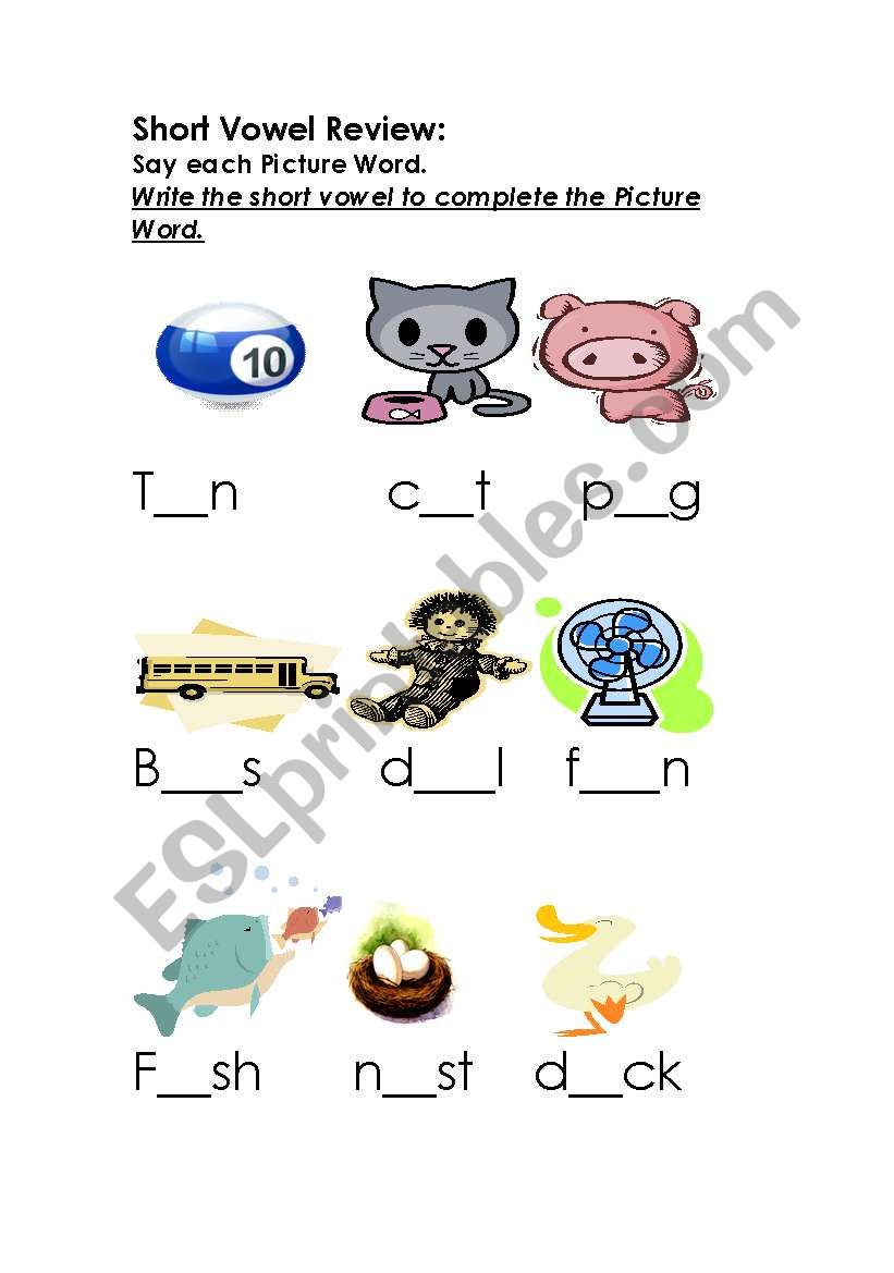 Short Vowel Practice worksheet