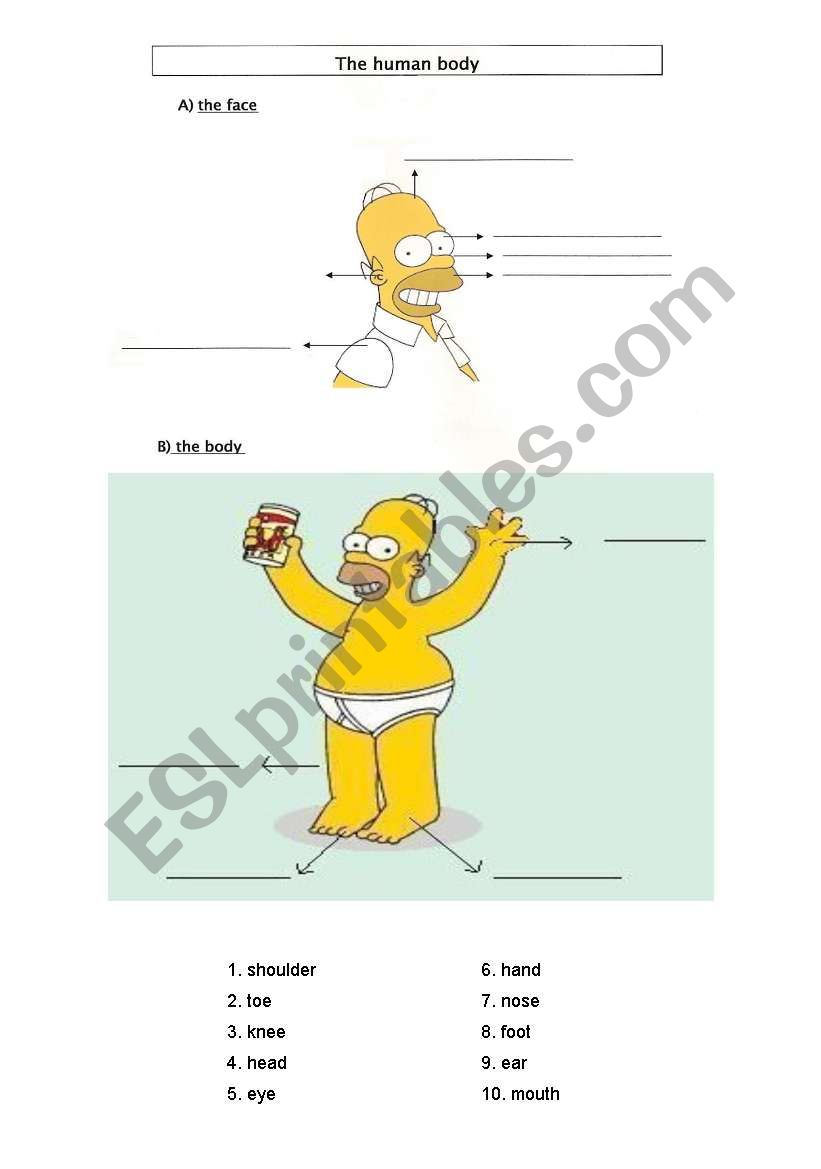 The human body with Homer Simpson