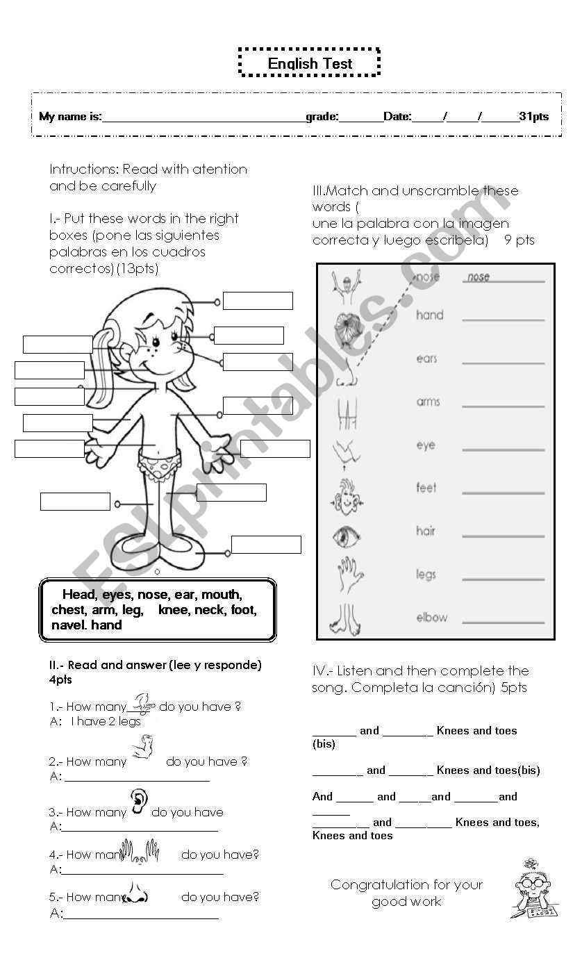 test my body worksheet