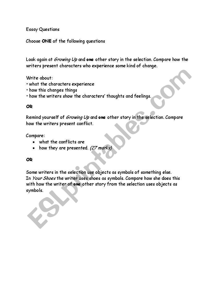 Essay questions worksheet