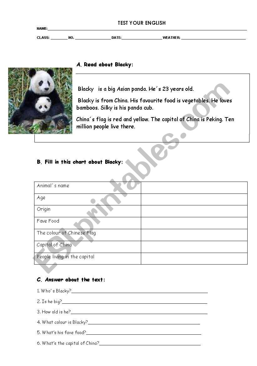 animals worksheet