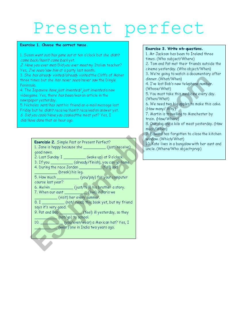 present perfect worksheet