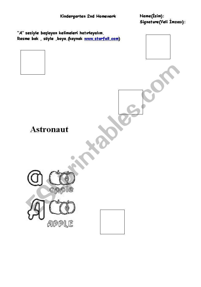 Kindergarten worksheet worksheet