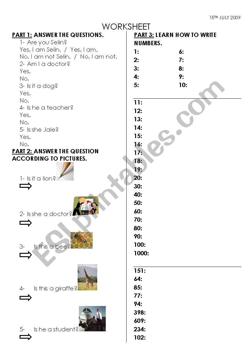 yes/no questions and numbers worksheet