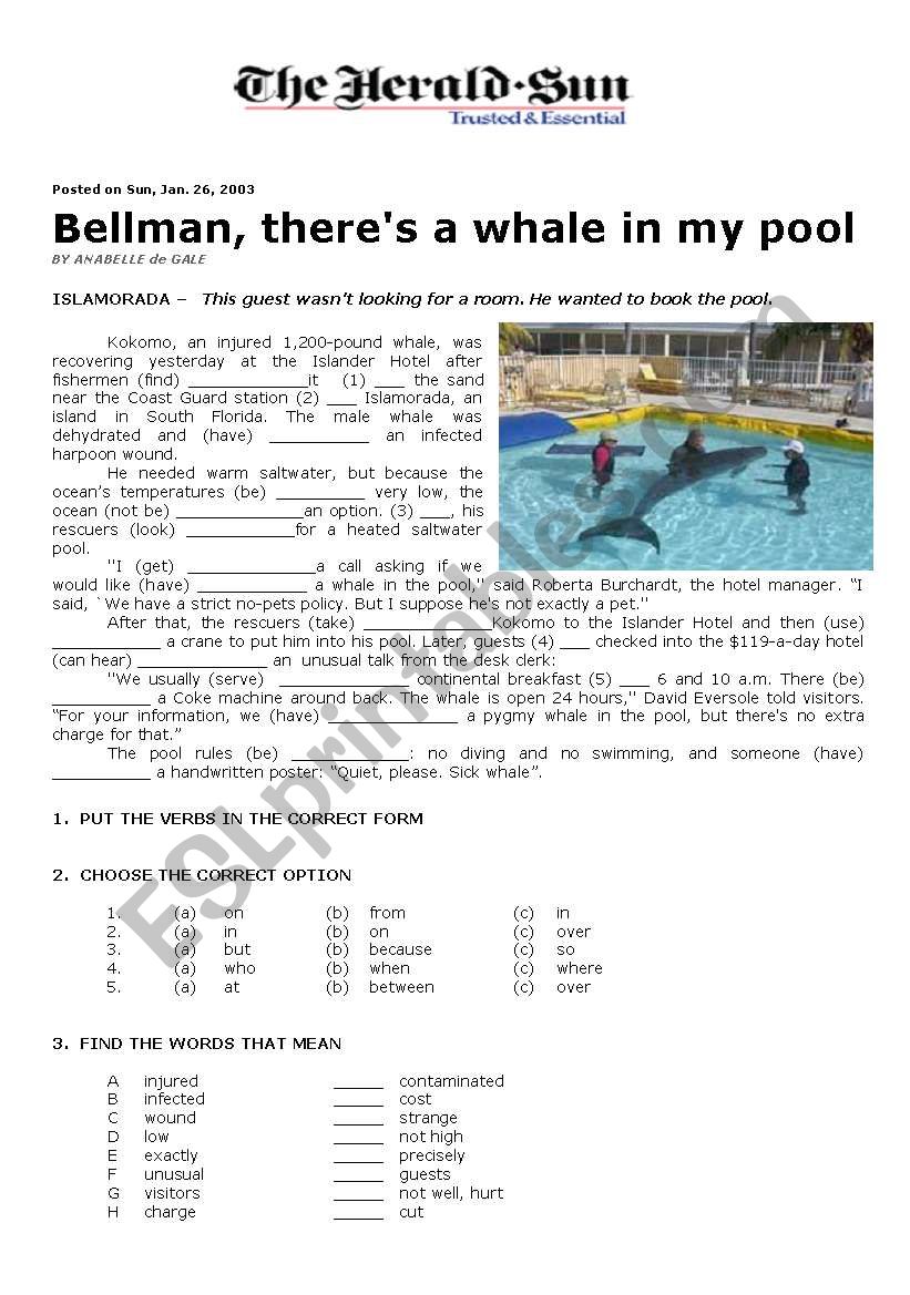 A Whale in My Pool worksheet