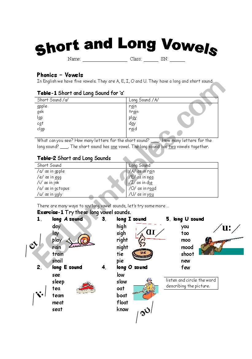 Short and Long Vowels worksheet