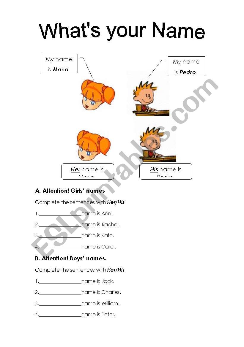 Name:His/Her worksheet