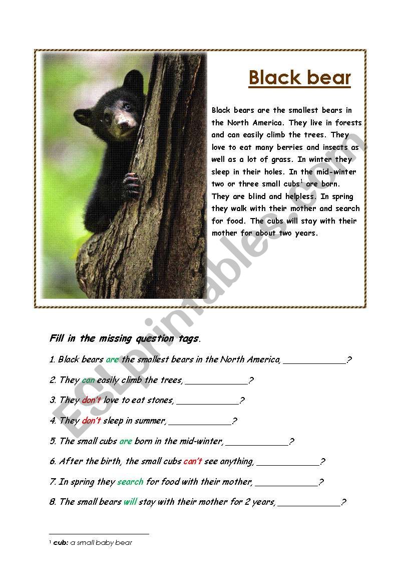 Question tags worksheet