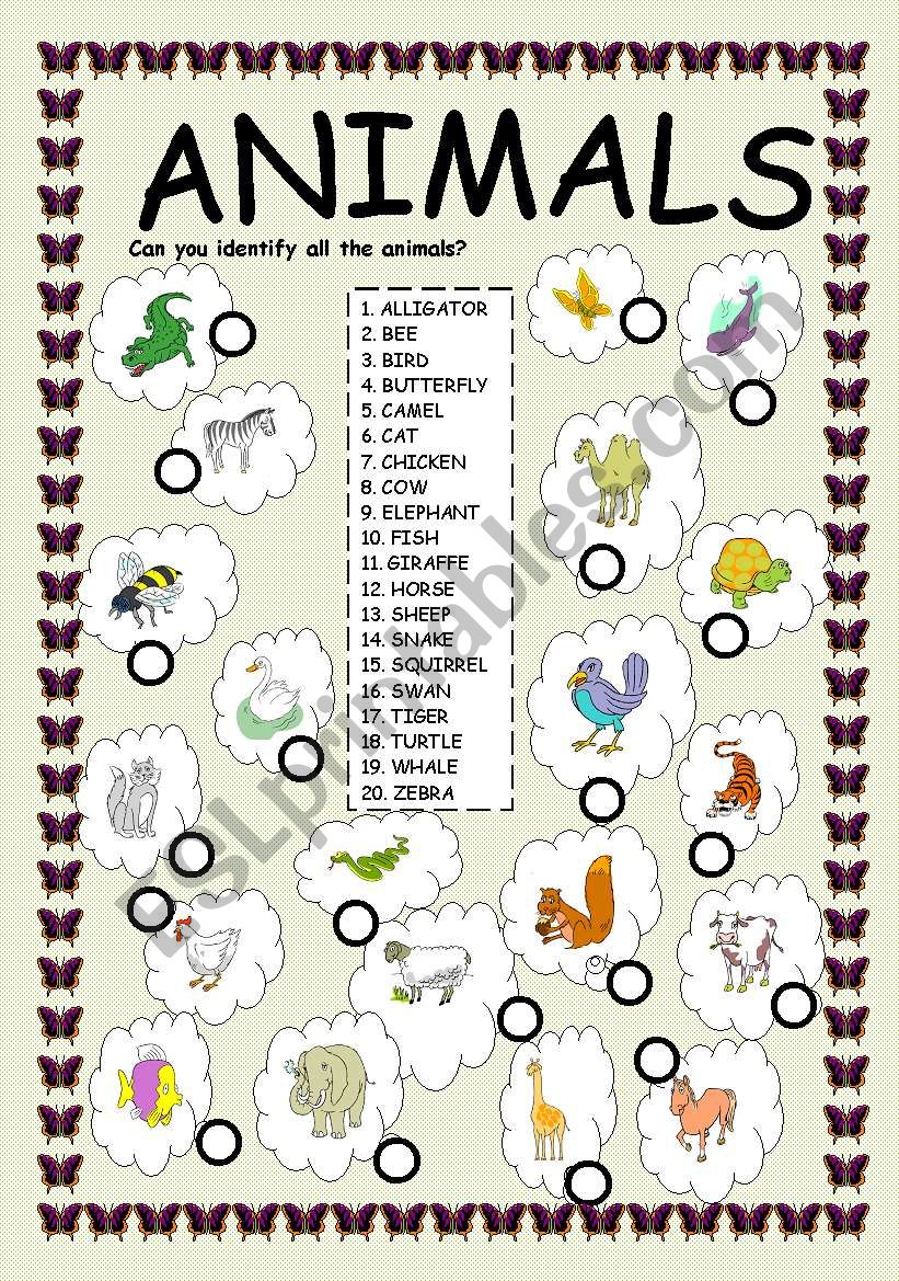 ANIMALS worksheet