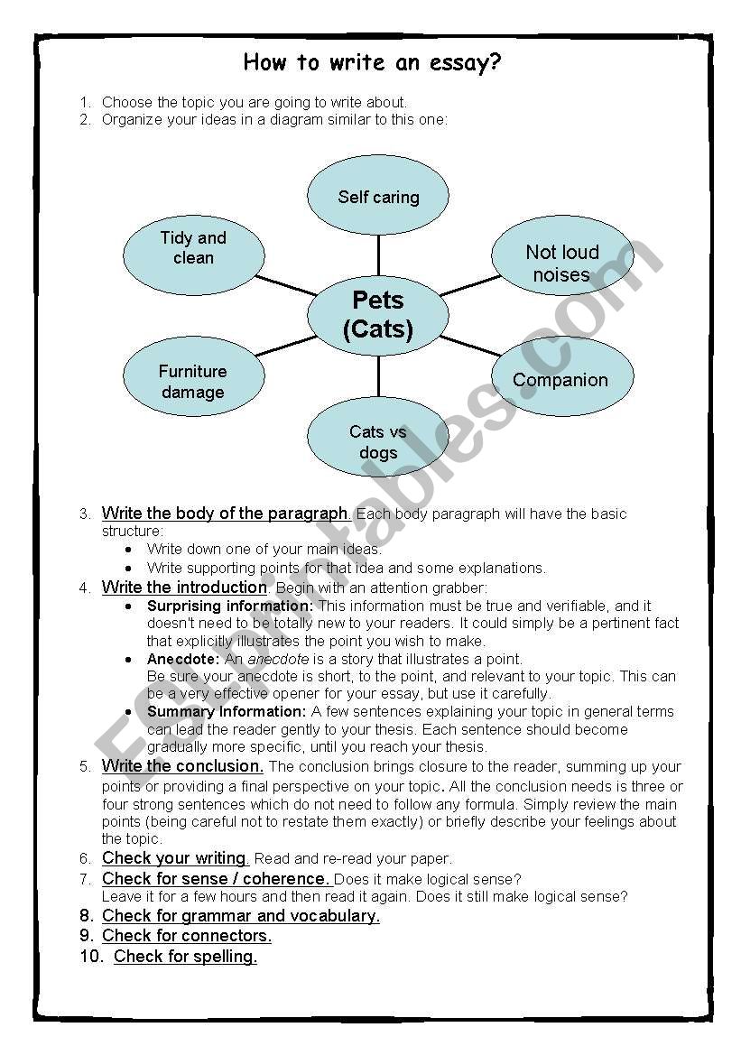 Essay Writing worksheet