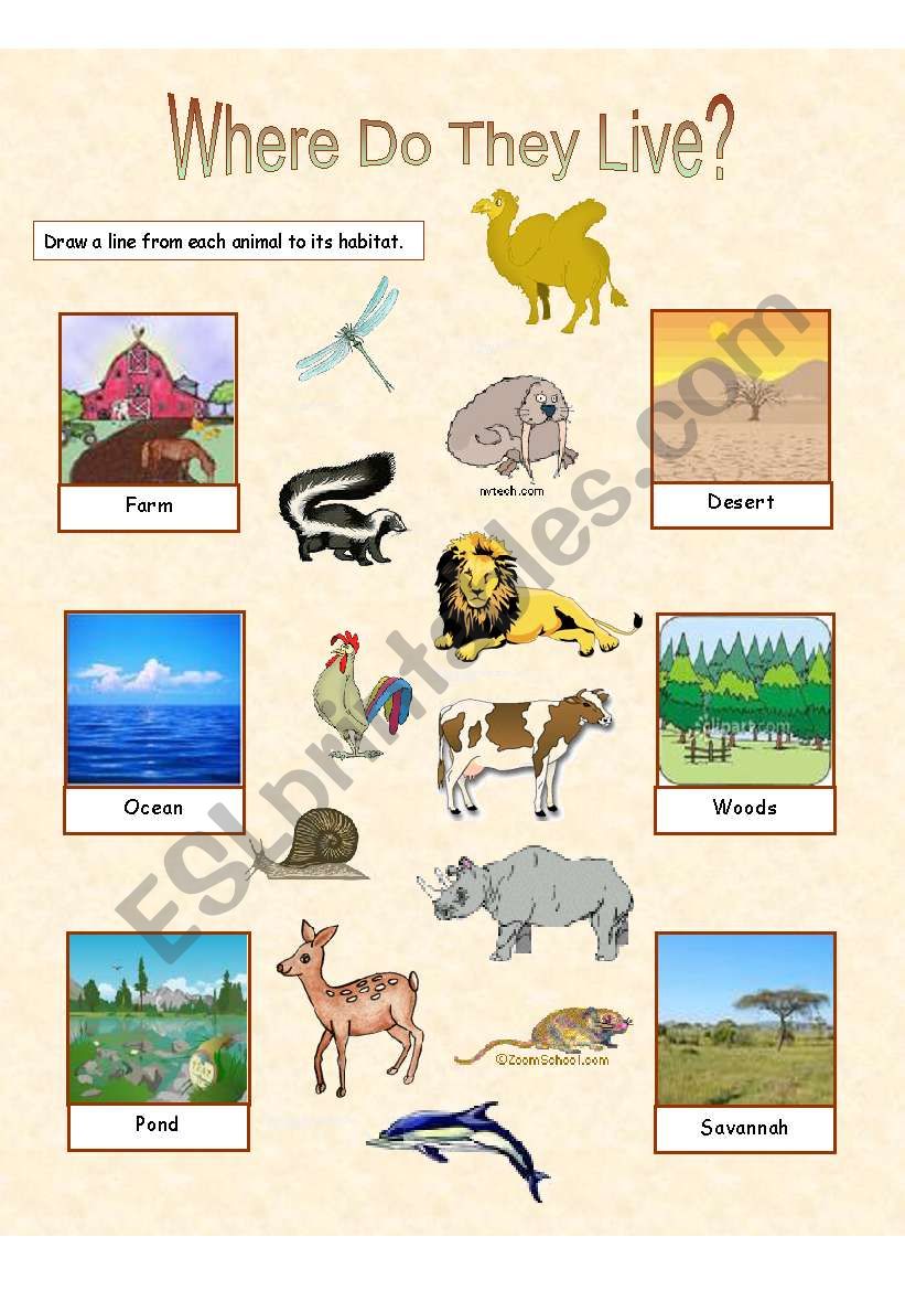 Animal Habitats - 2 exercises worksheet