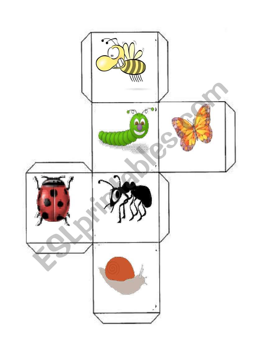 Bugs worksheet