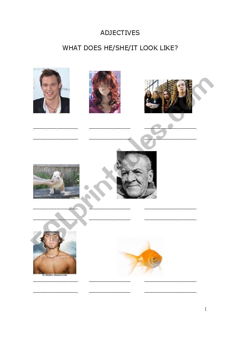 adjectives worksheet