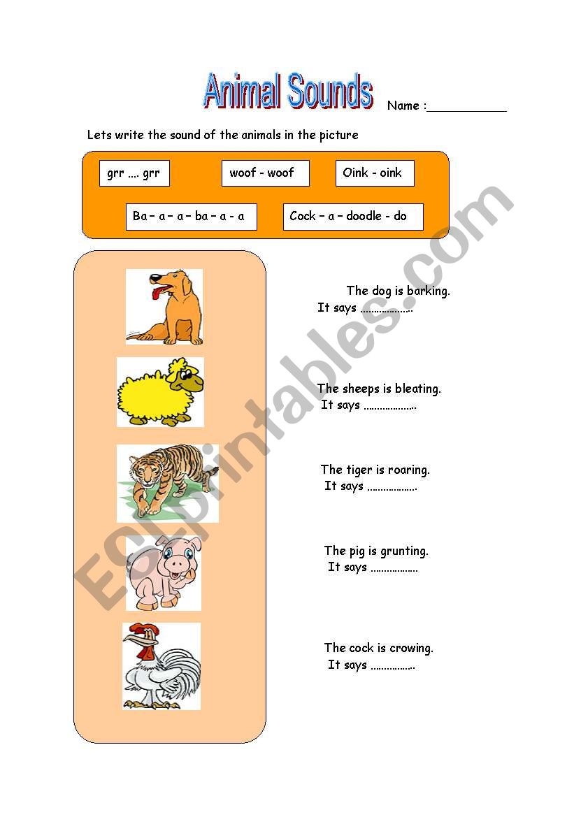 Animal sounds worksheet