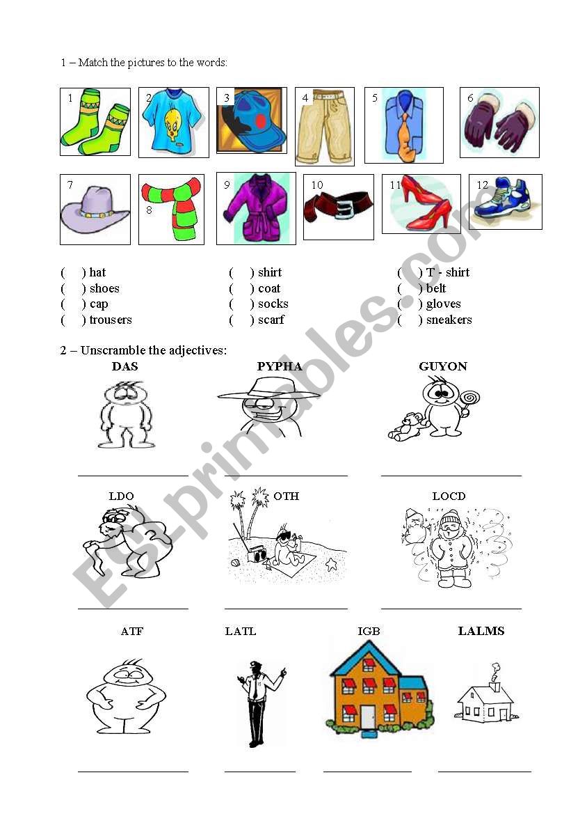 CLOTHES, ADJECTIVES, FOOD worksheet