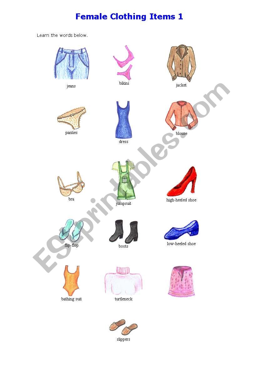 Female Clothing  worksheet