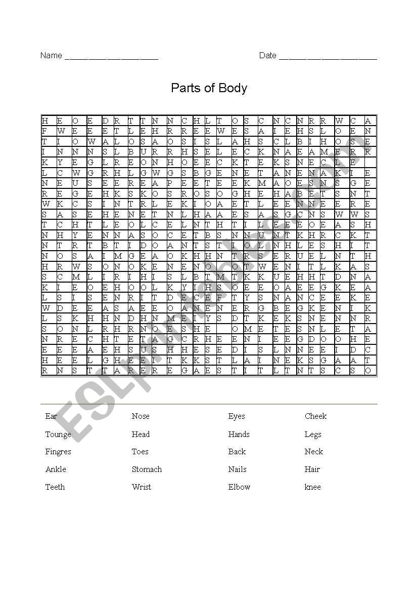 Body parts worksheet