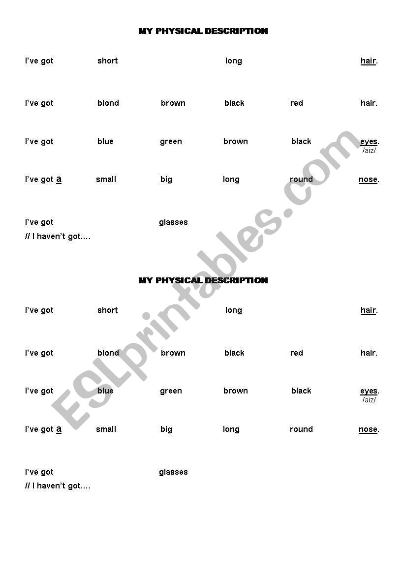 PHYSICAL DESCRIPTION worksheet