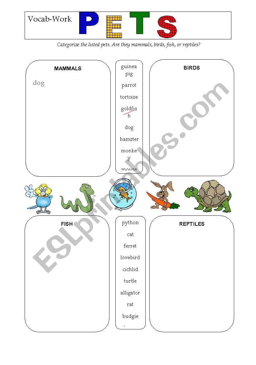 Vocab-Work PETS worksheet