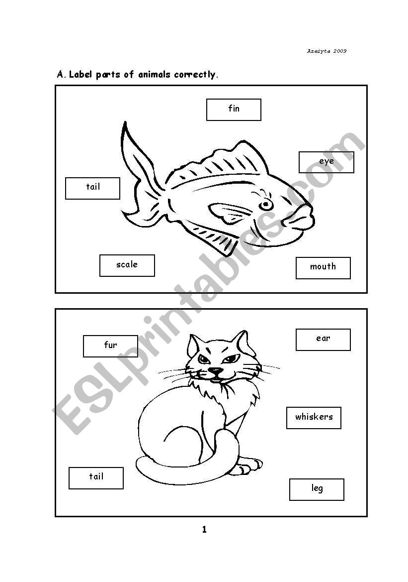 Parts of Animal worksheet