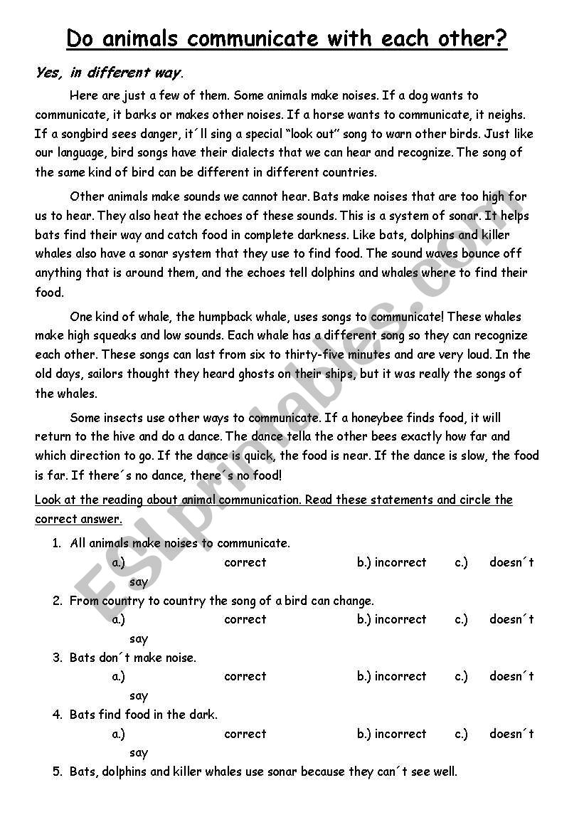 Do animals communicate with each other?