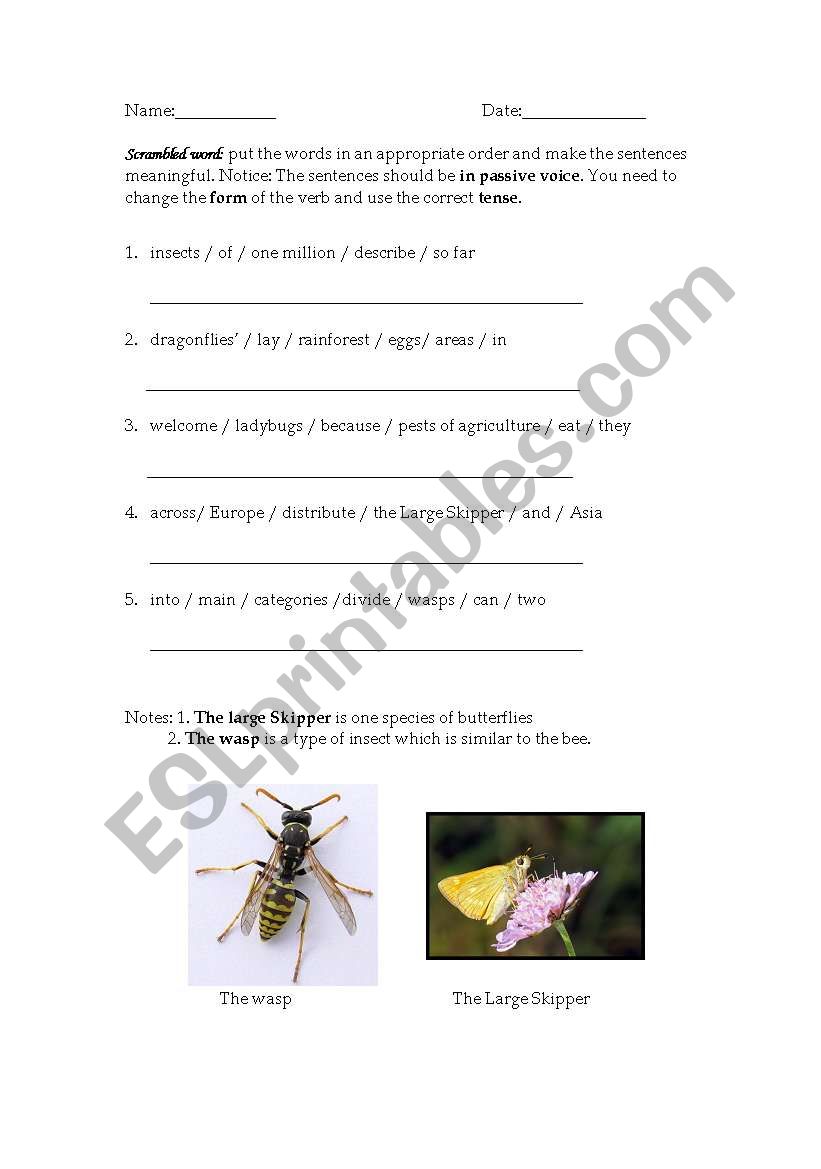 Scrambled Words worksheet