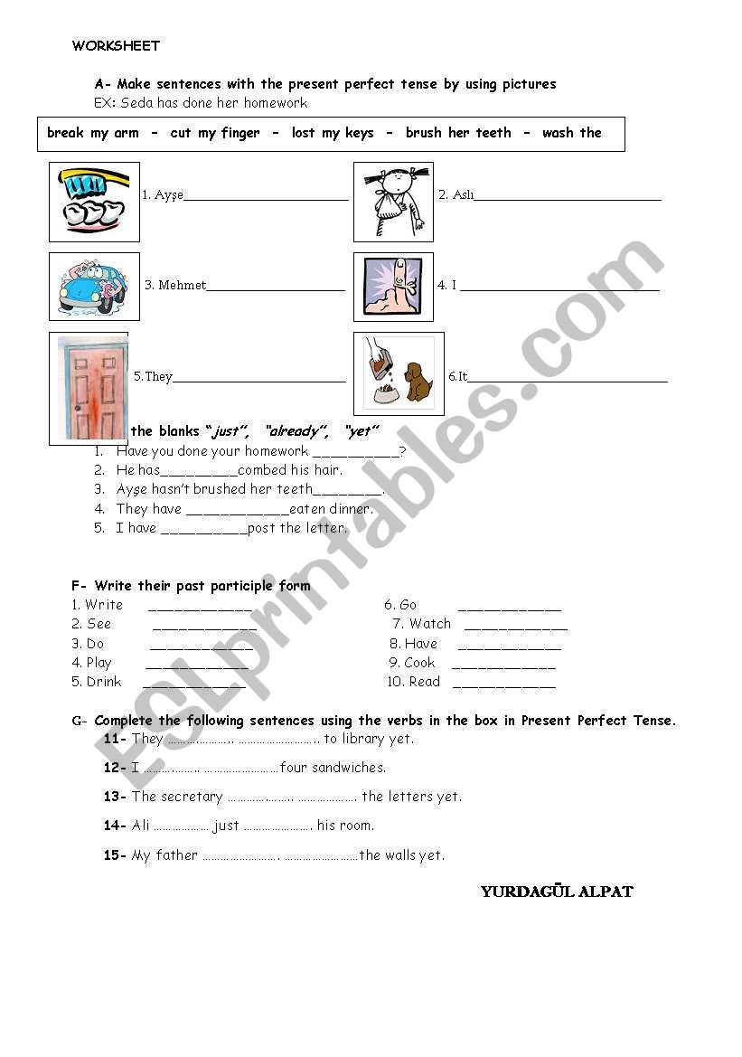 present perfect worksheet