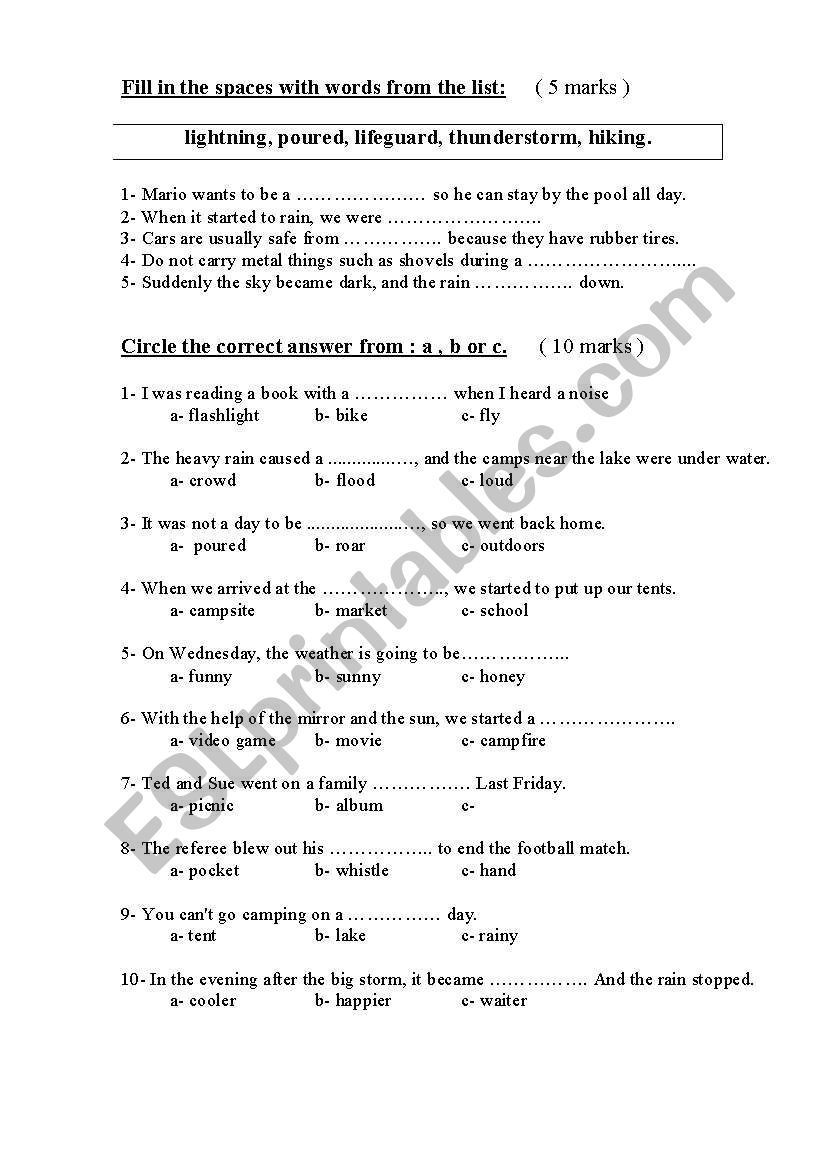 Vocabulary worksheet