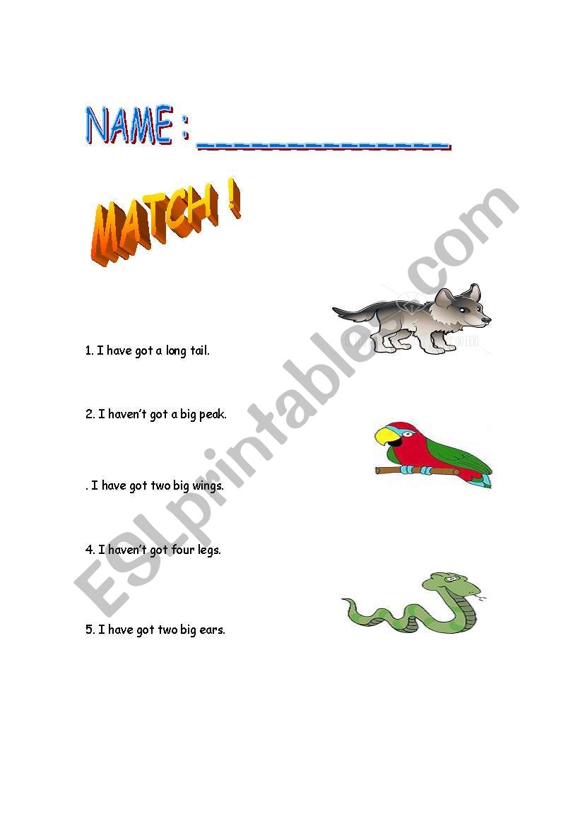 Match worksheet