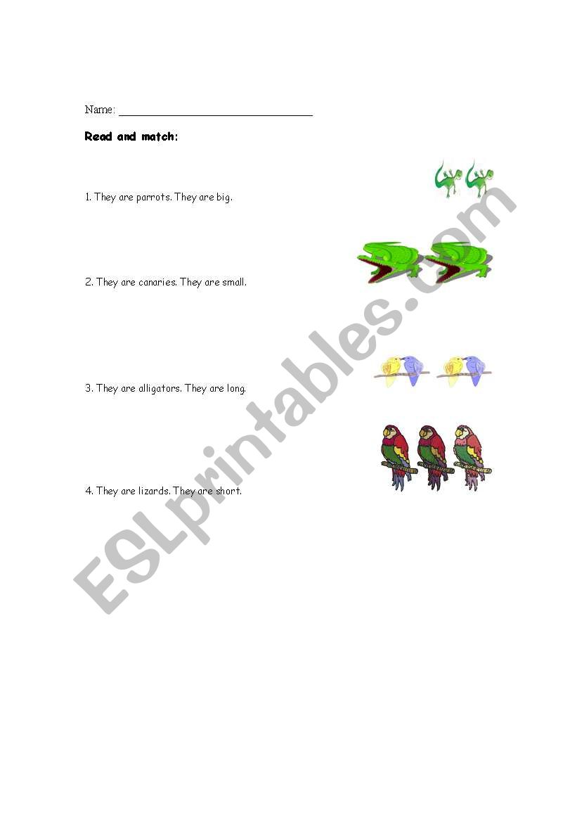 Read and match worksheet