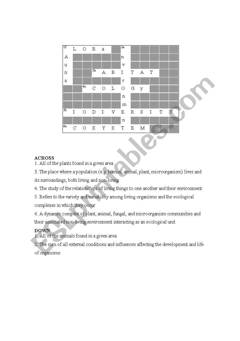 environment  worksheet