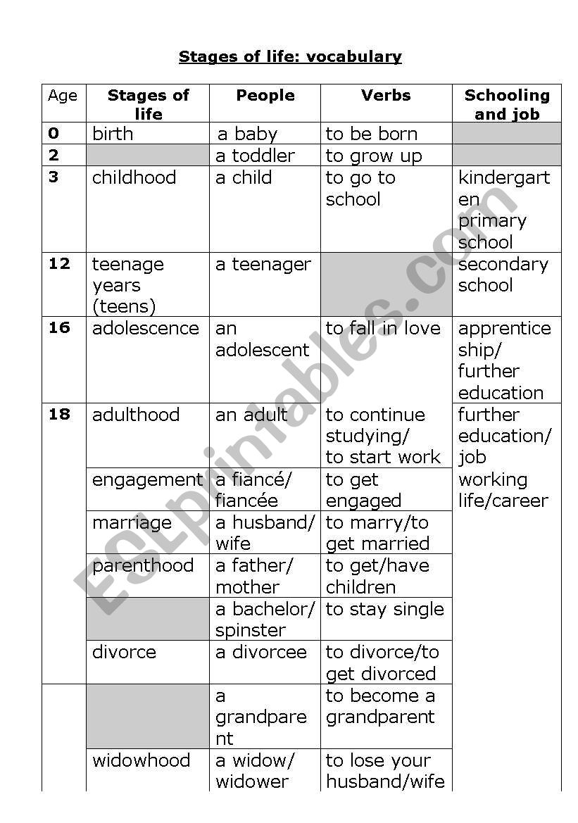 stages of life worksheet