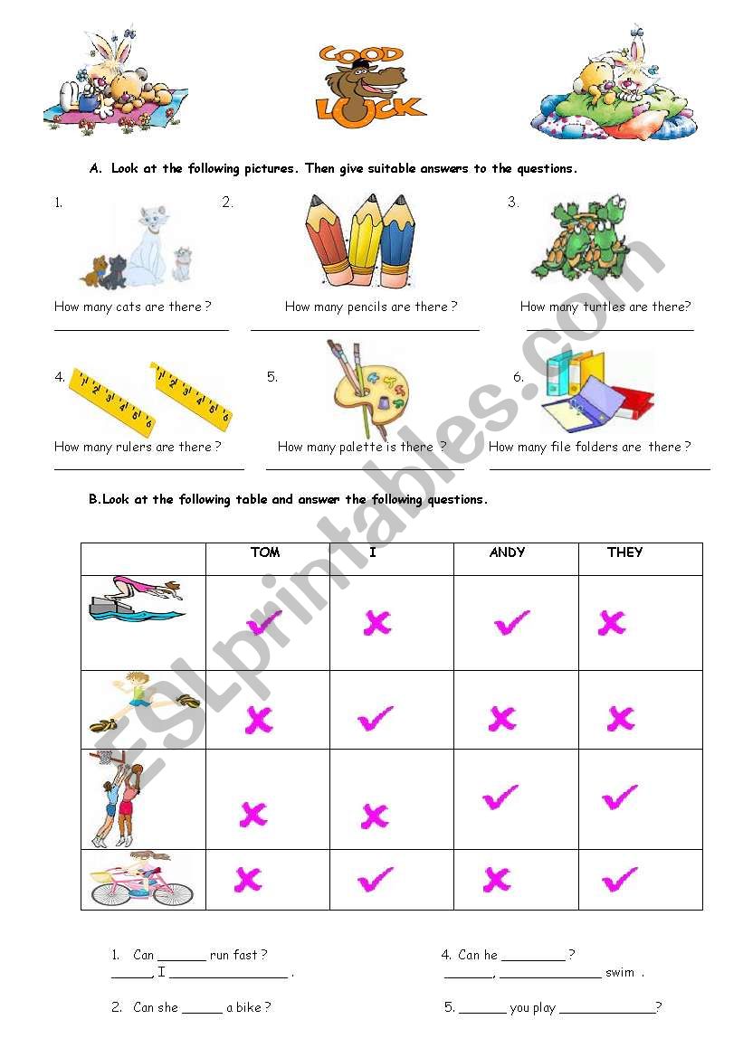 Test for beginners worksheet