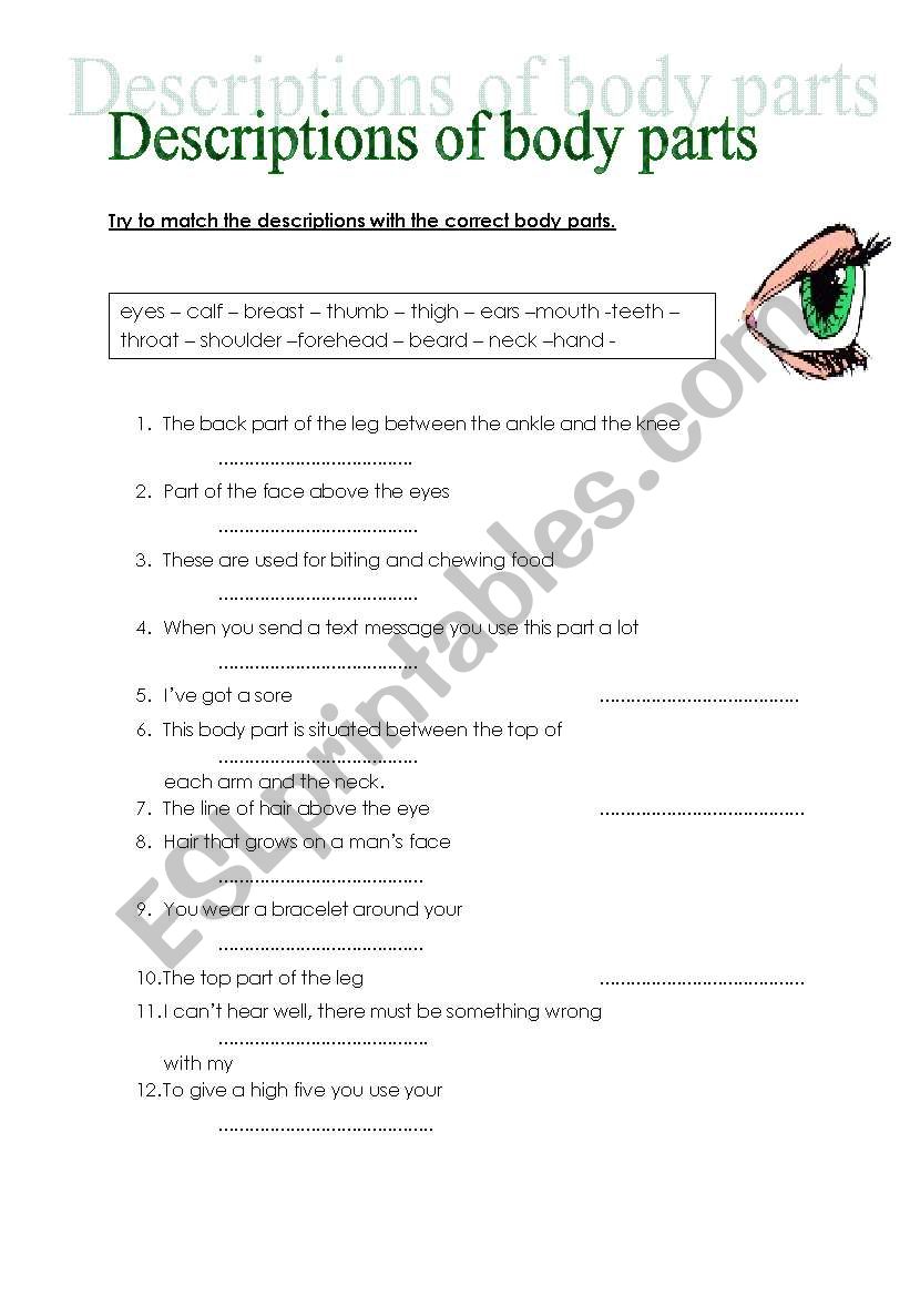 Vocabulary body parts worksheet