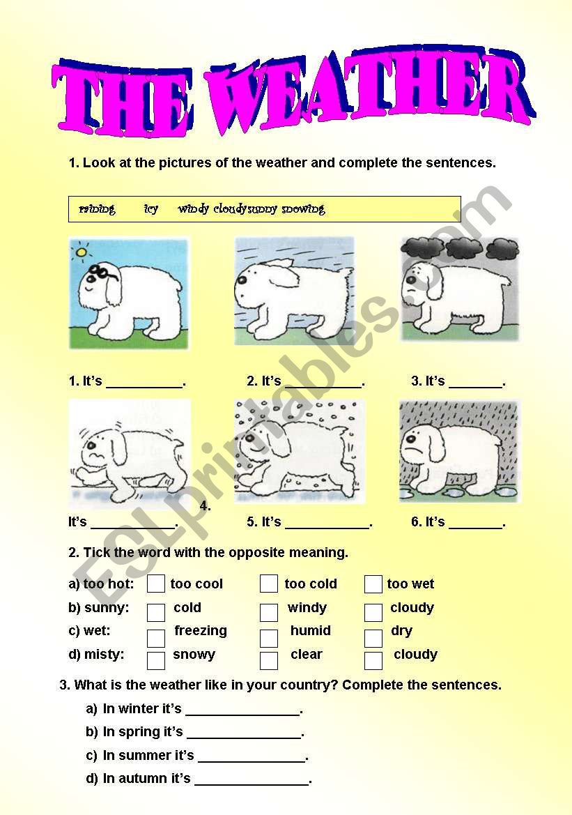 The weather worksheet