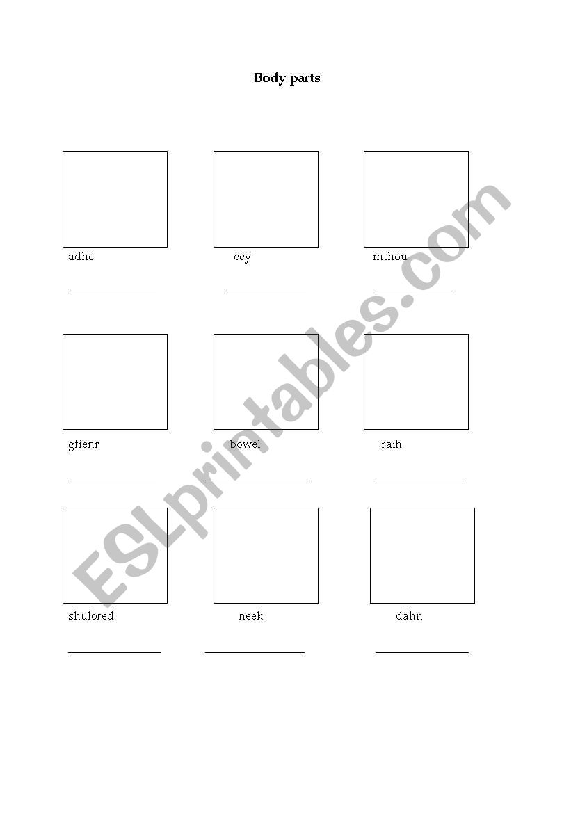 body parts worksheet