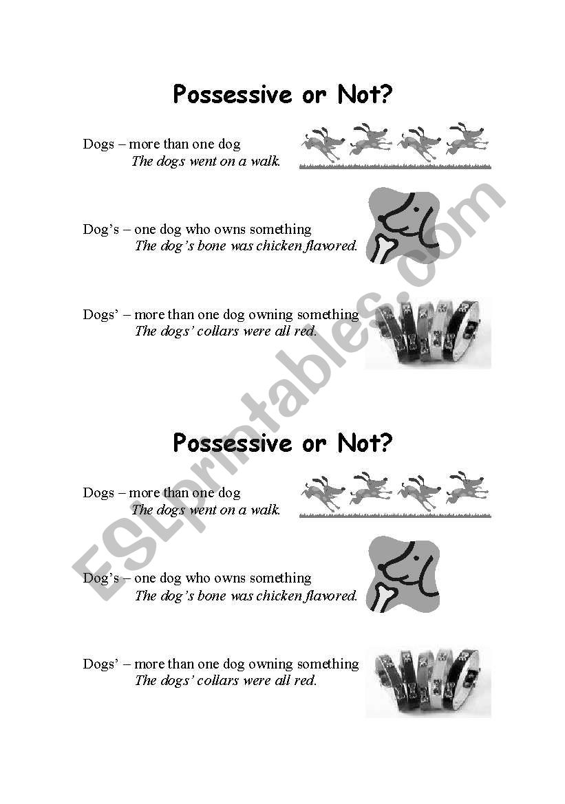 Possessive or Not? worksheet