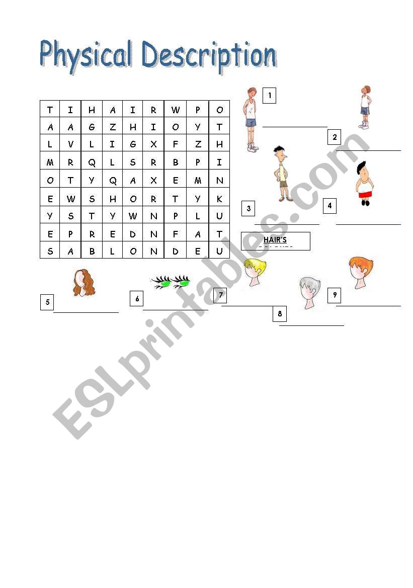 Physical description worksheet