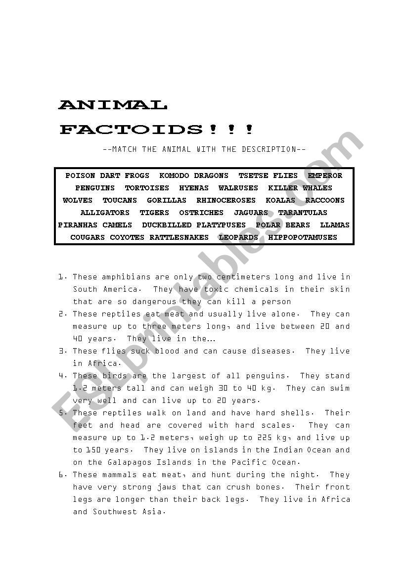 Animal Factoids worksheet