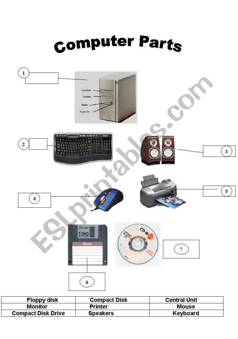 Computer Parts  worksheet