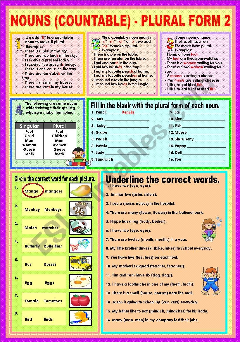 Nouns (countable) - Plural (Irregular) 2