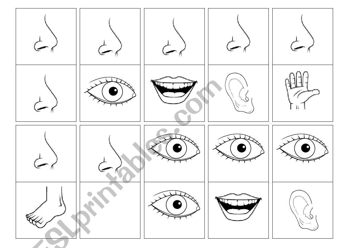 body parts domino worksheet